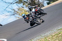 cadwell-no-limits-trackday;cadwell-park;cadwell-park-photographs;cadwell-trackday-photographs;enduro-digital-images;event-digital-images;eventdigitalimages;no-limits-trackdays;peter-wileman-photography;racing-digital-images;snetterton;snetterton-no-limits-trackday;snetterton-photographs;snetterton-trackday-photographs;trackday-digital-images;trackday-photos